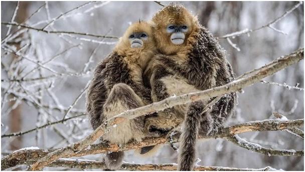 去神农架旅游攻略3天2晚,郑州到神农架自驾游最佳路线攻略