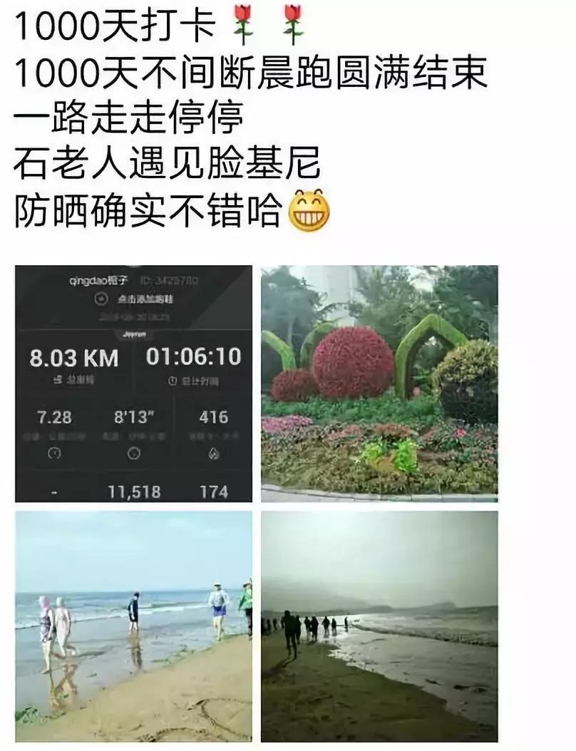 纵有疾风起人生不言弃原文,纵有疾风起人生不言弃莫忘来时路