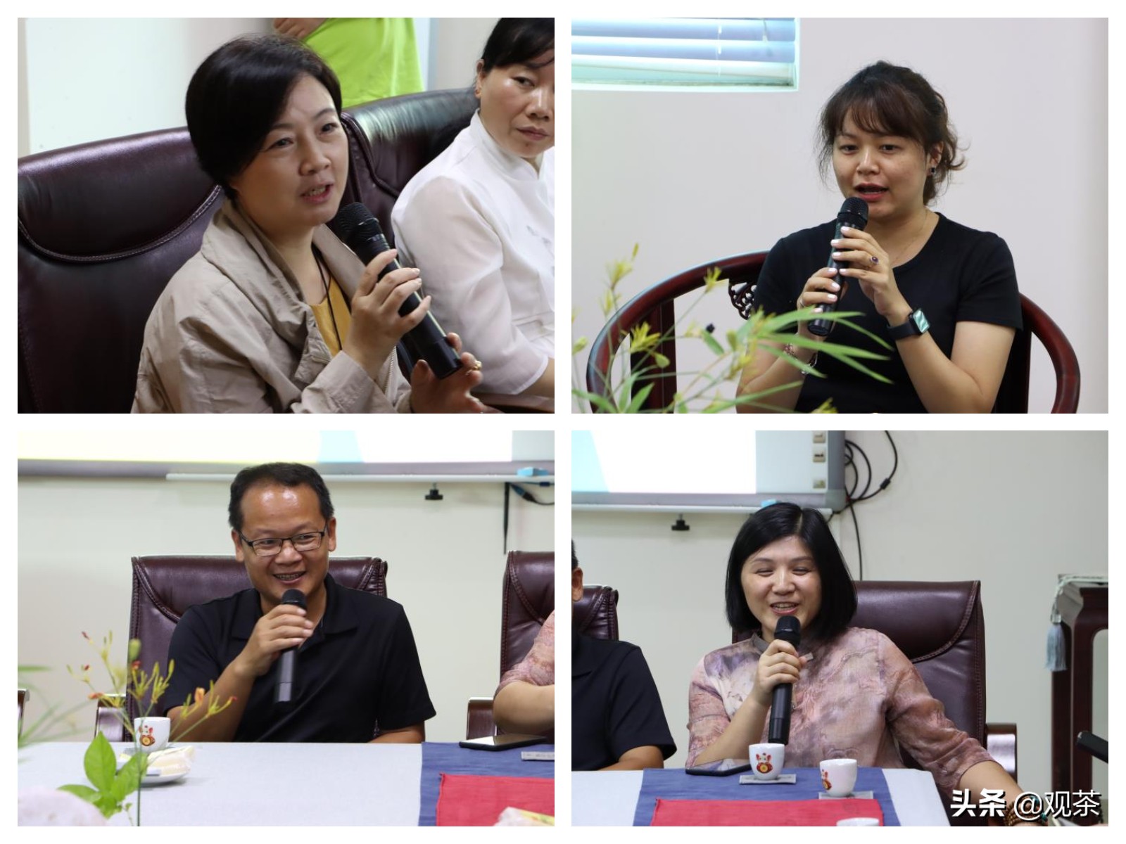 “海高斯”过后，珠海明媚，一杯热茶聚金湾