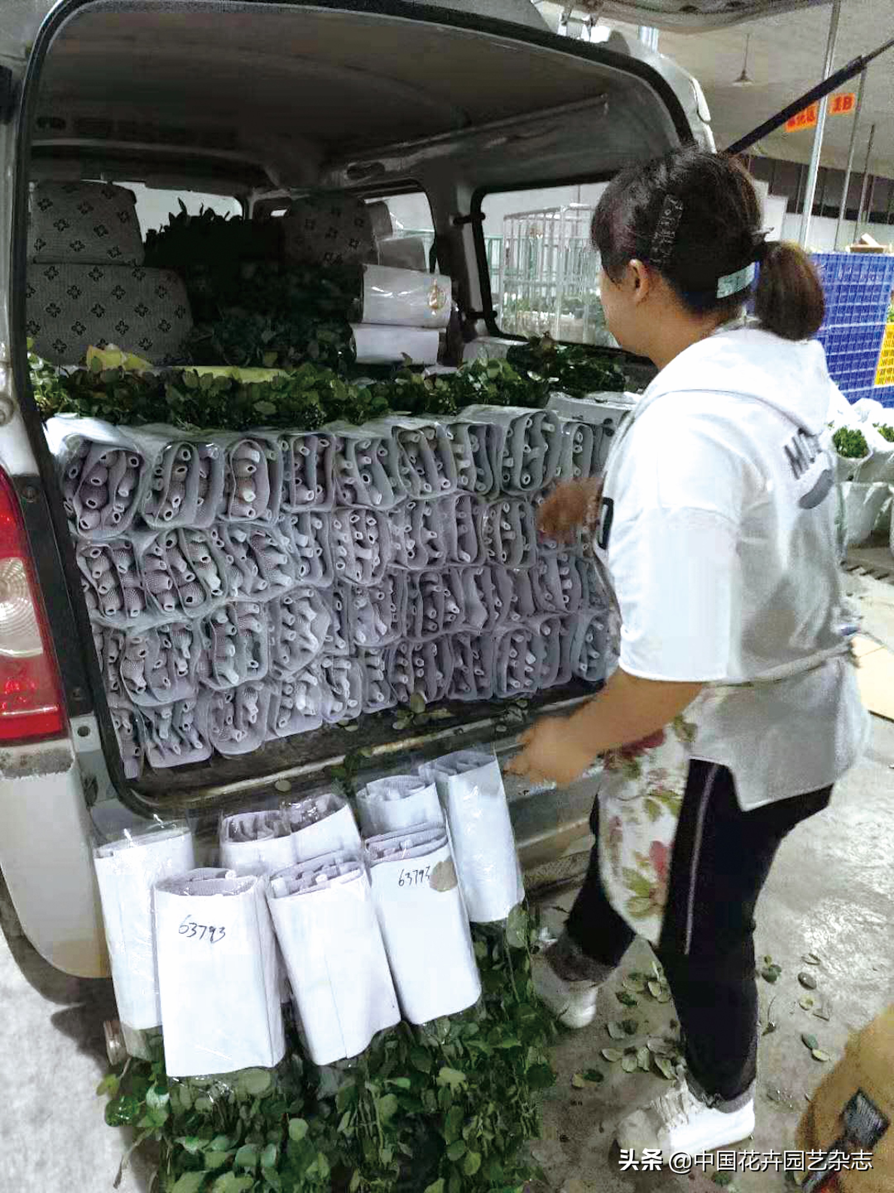 传统电商平台：不变的是一直在变|《中国花卉园艺》2020年7期专题