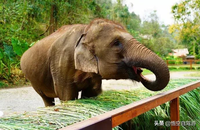 昆明自驾西双版纳沿途旅游景点,昆明至西双版纳沿途旅游景点