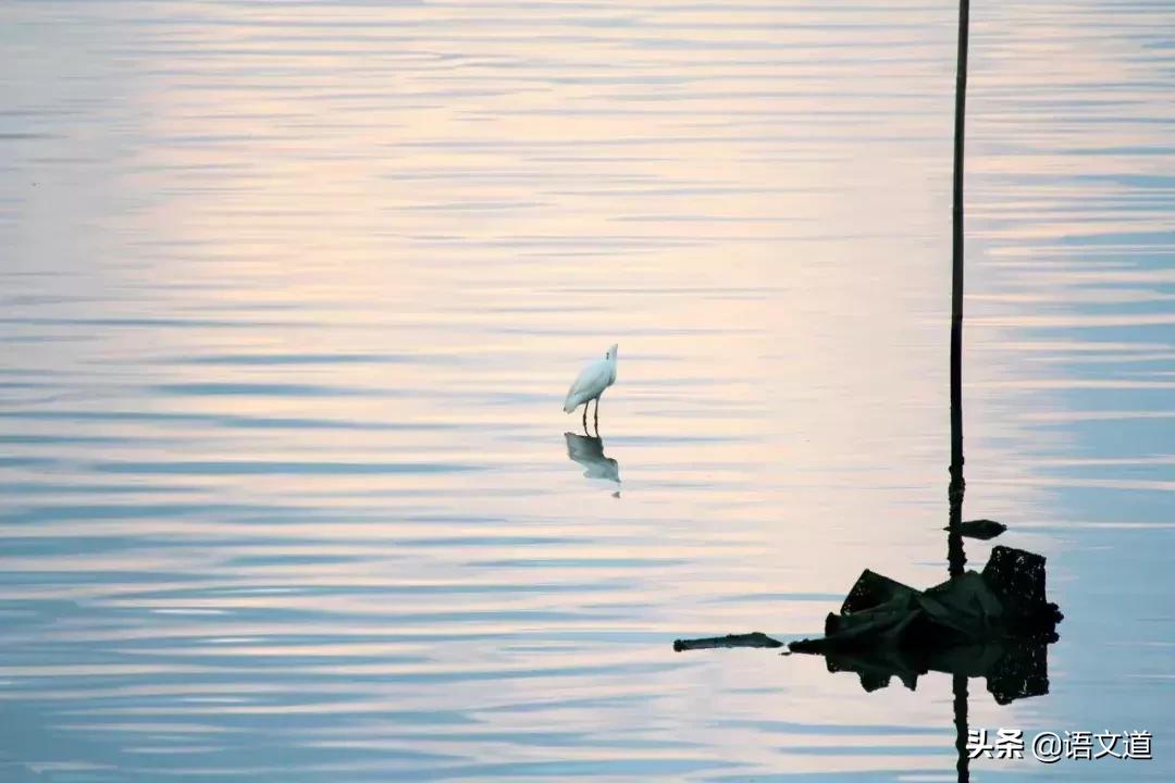 觊觎读法,觊觎同音字读音