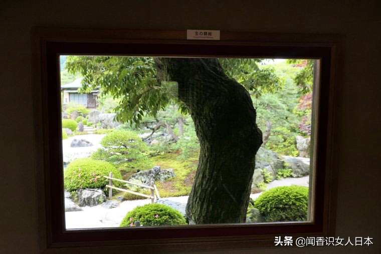 最美日本庭院排行榜,日本最美庭园美术馆