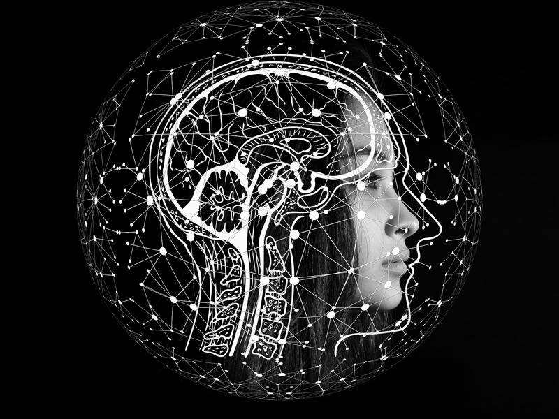 英语教育行业现状和发展趋势,英语教育下一个风口行业