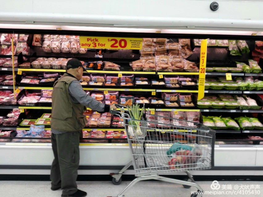 花甲后的新西兰自驾之旅（一）