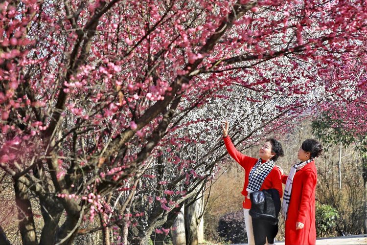 傅家边野营,走进金溪傅家村