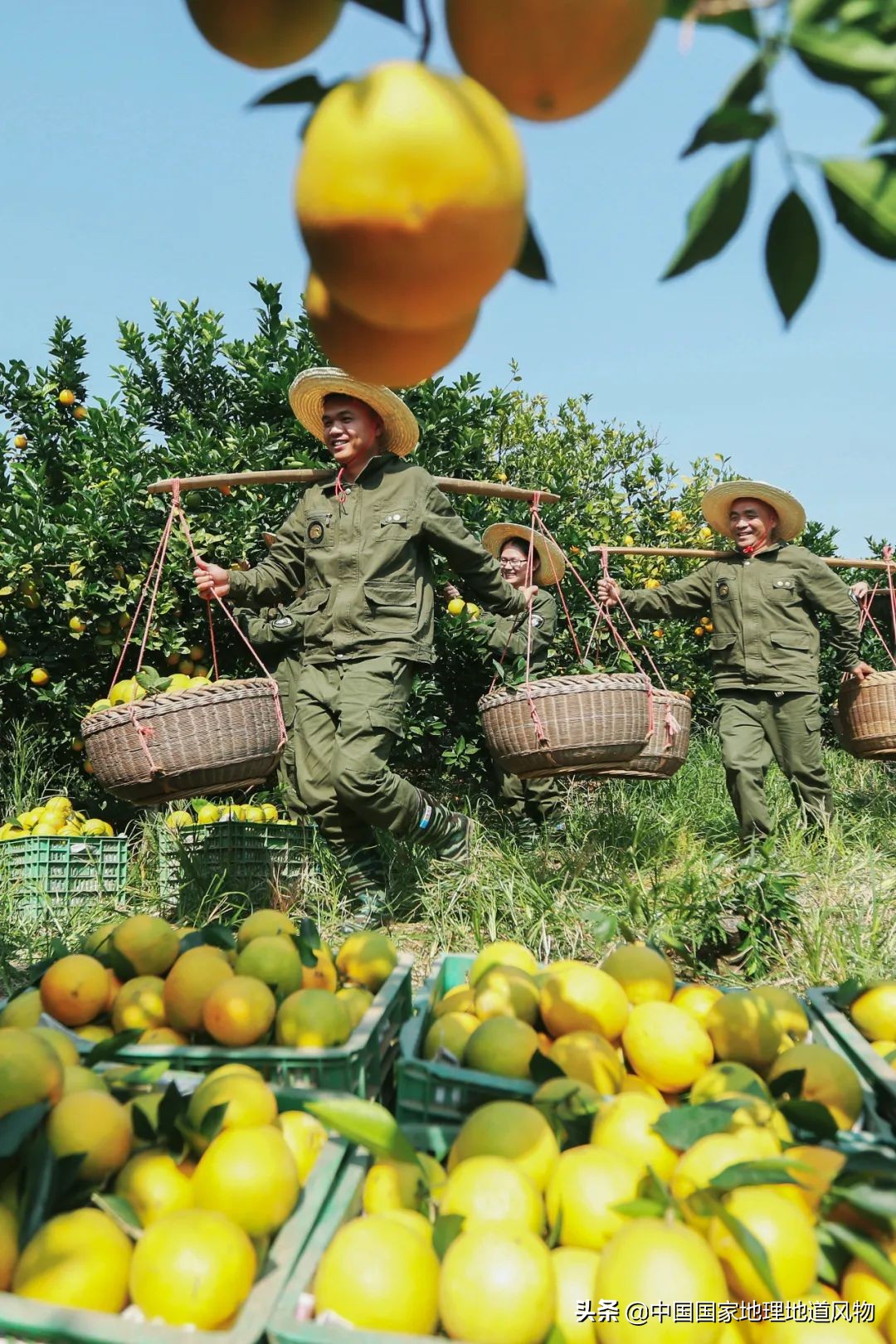 江西vs湖南哪个更能吃辣,江西和湖南pk辣椒