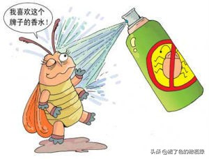 蟑螂成灾教你有效的灭蟑螂,用洋葱灭蟑螂最有效的方法