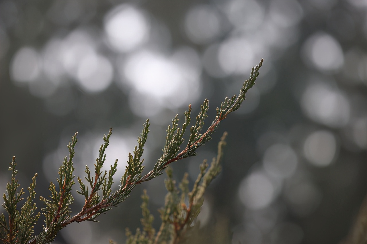 长度1.4米的头发可以卖多少钱,长度120厘米头发能卖多少钱