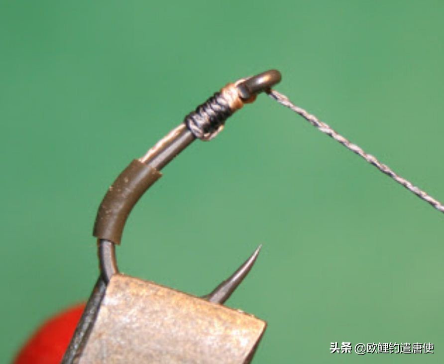 话说欧鲤钓组全集,欧鲤钓组可以钓哪些鱼