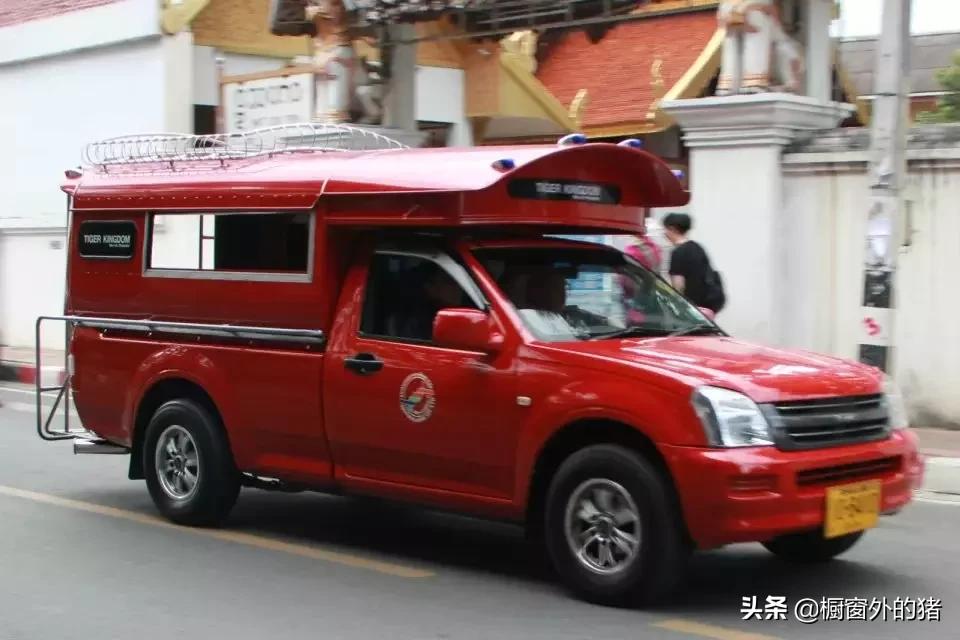 泰北玫瑰的英文,泰北玫瑰图片