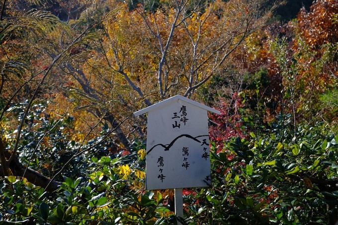 京都赏枫2022,京都赏枫必去景点有哪些好玩的