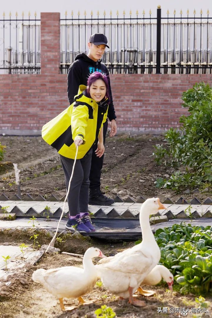 杨千嬅何以翻红?没有温柔唯有“孤勇”