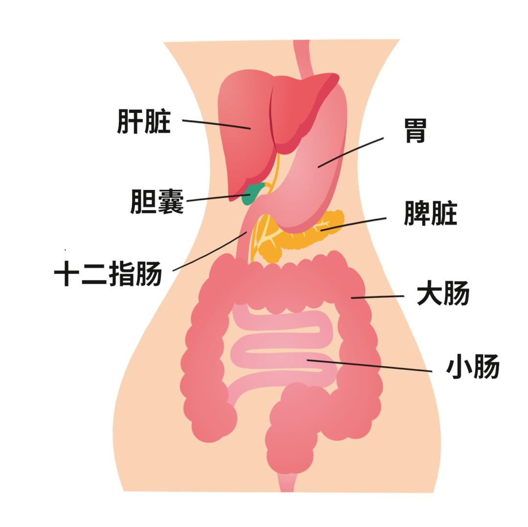 花4000元买塑身衣值吗,花几万块塑形内衣
