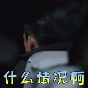 多肉被风雨袭击,多肉被雨水泡过怎么办