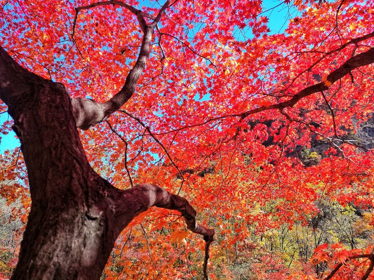 后期调色是怎么回事,后期调色多难