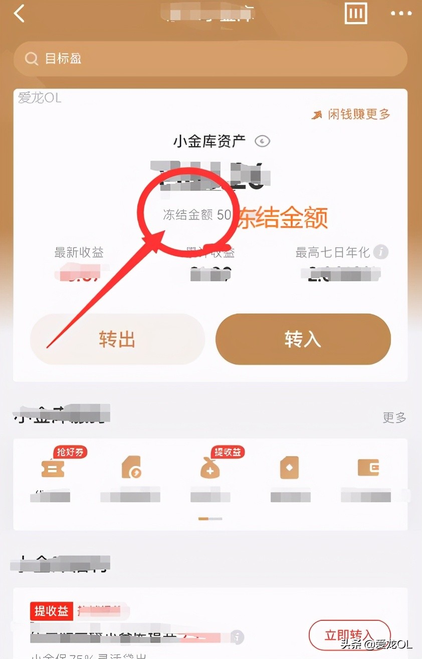 京东小金库冻结的钱怎样转出来,京东开白条冻结的小金库怎么解冻