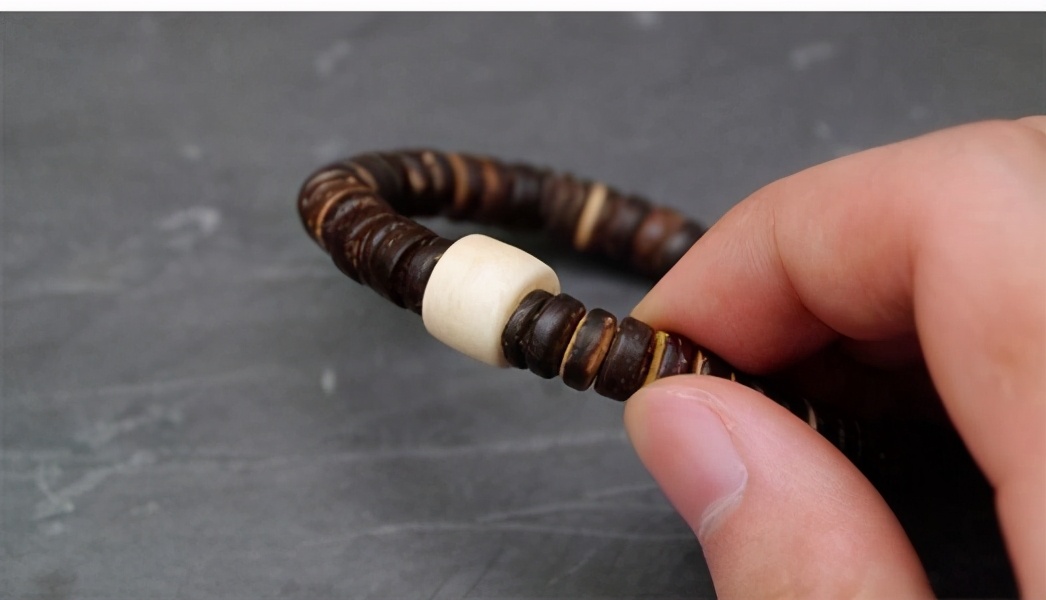 坚韧不屈的植物有哪些,坚韧不屈的植物特点