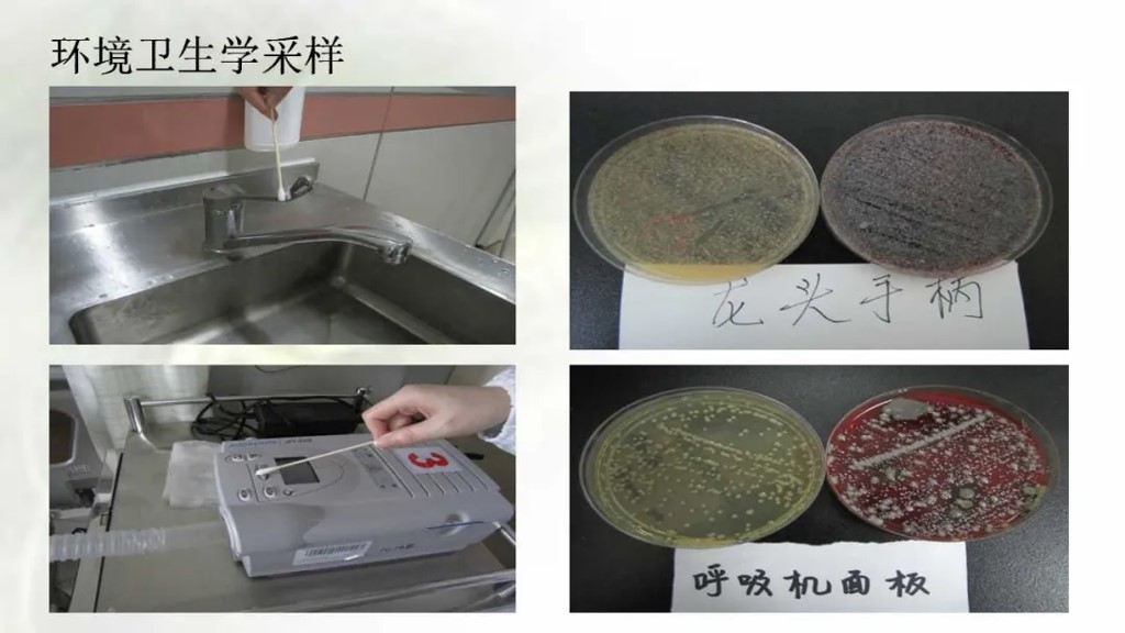 课件-陪护人员医院感染知识培训