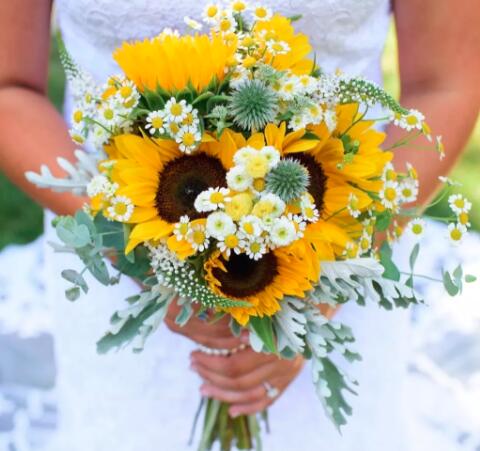 十二星座该送什么花,给十二星座送什么花最适合