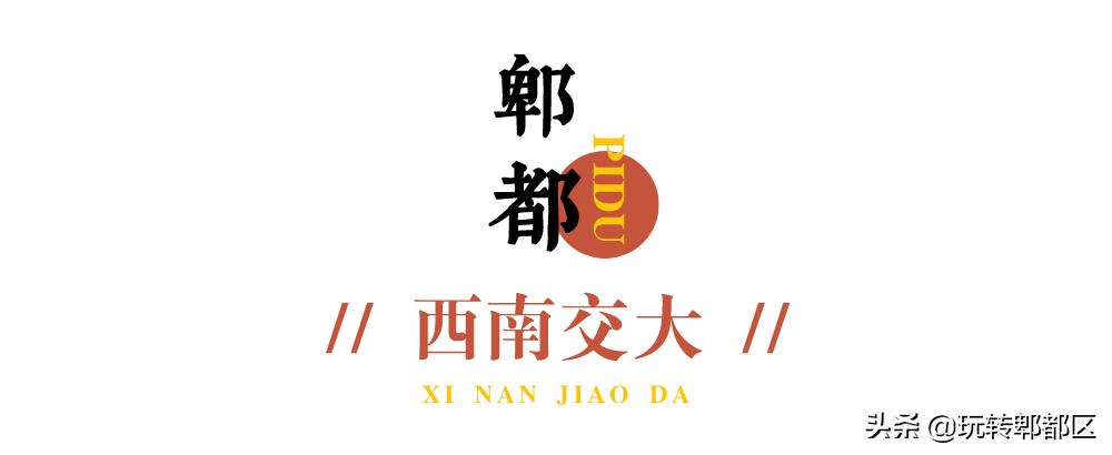 郫都区十大银杏打卡地,郫都区看银杏最好的地方