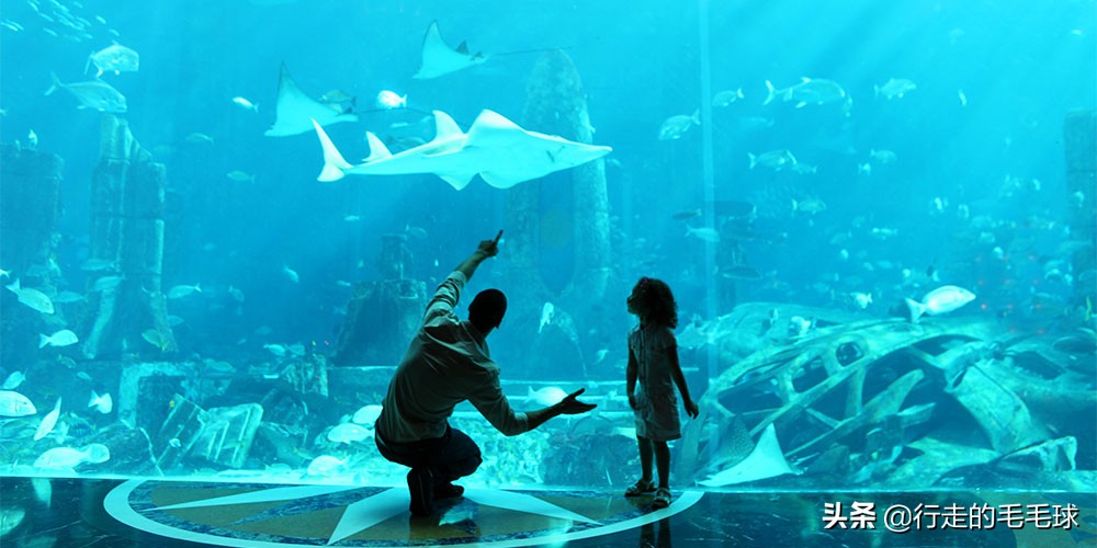 迪拜神秘海底世界,迪拜神奇的海底世界