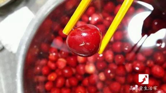 杨梅樱桃里面有虫子,樱桃杨梅有虫子