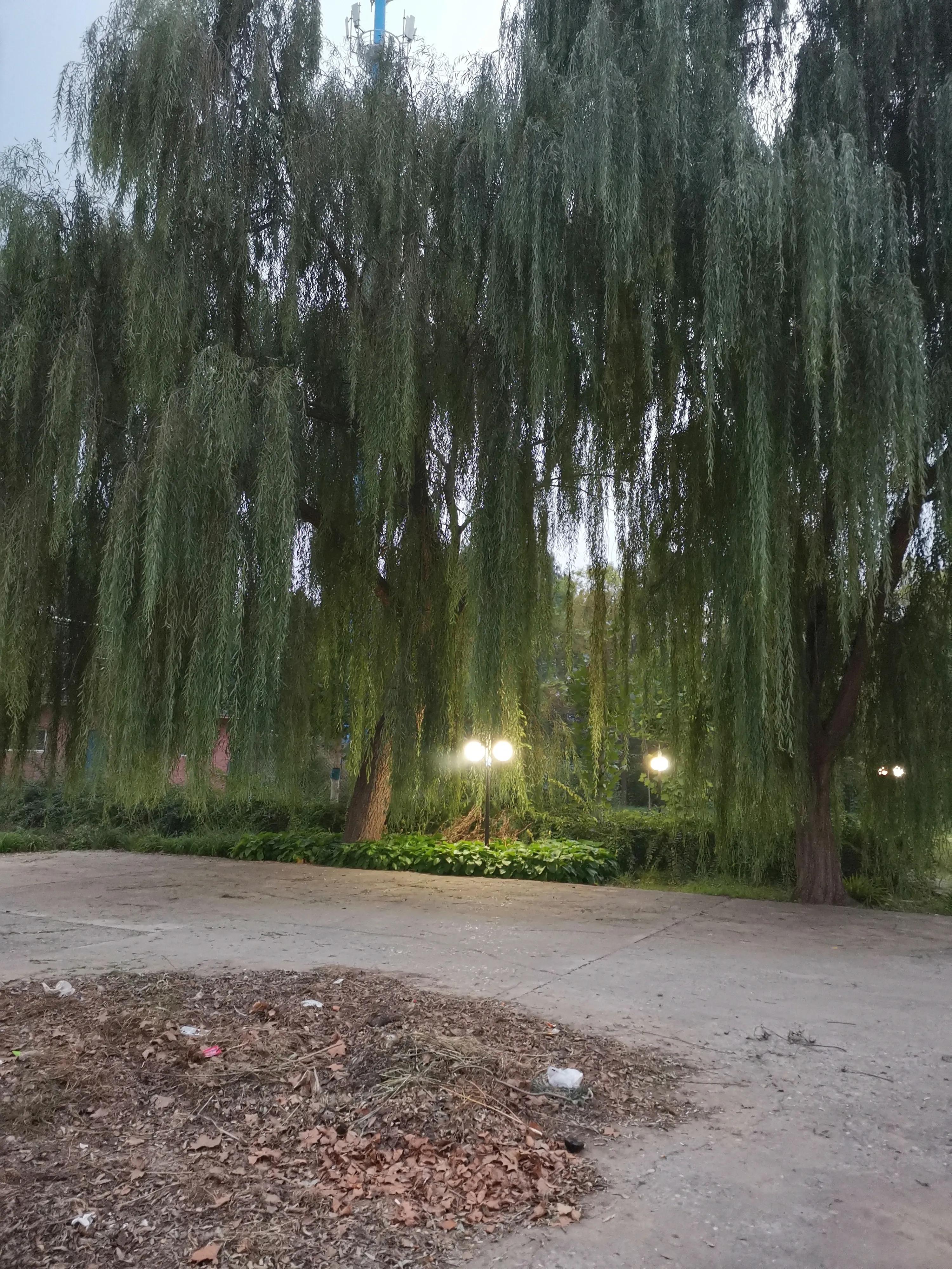 陆浑湖和伏牛山哪个好玩,宜阳县和老河口市