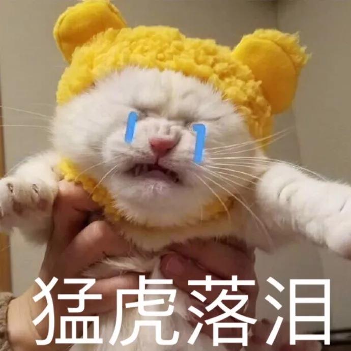 f11.6t发动机,f1发动机为什么只有1.6t