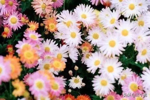 今年流行的裙子不穿高跟鞋,今年流行时髦的裙子冬天穿的