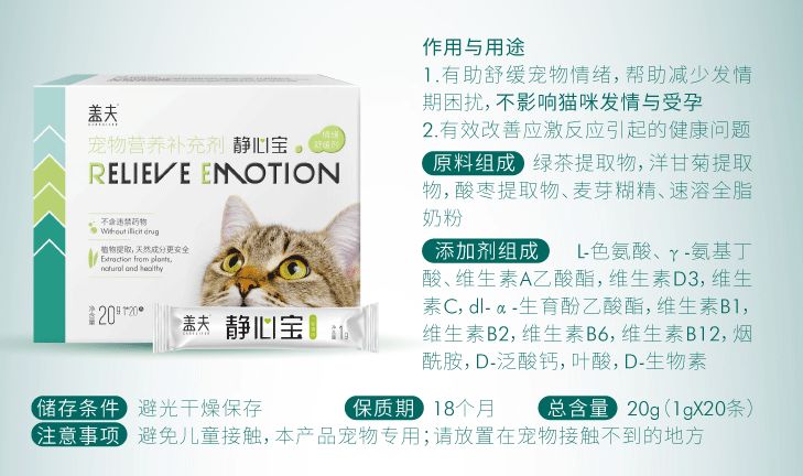 养猫注意事项禁止摸其它小猫,养猫须知禁止冷暴力卡点