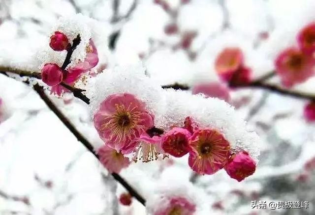 十首经典哲理诗词,10首宽心诗词句句哲理