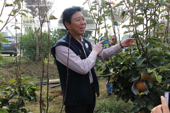 产业扶贫，金果致富——湖北天圆生态发展有限公司