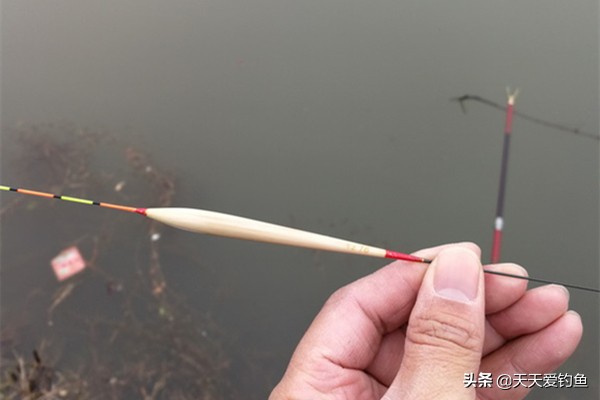 钓鱼浮漂的调钓技巧,浮漂怎么看中鱼率最好