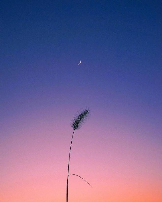 人生的格言句句精辟,最精辟的人生格言句句经典