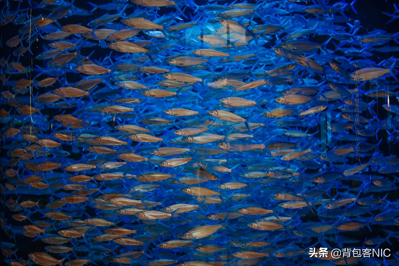 三亚亚特兰蒂斯七星级豪华酒店,三亚最好的酒店是亚特兰蒂斯吗