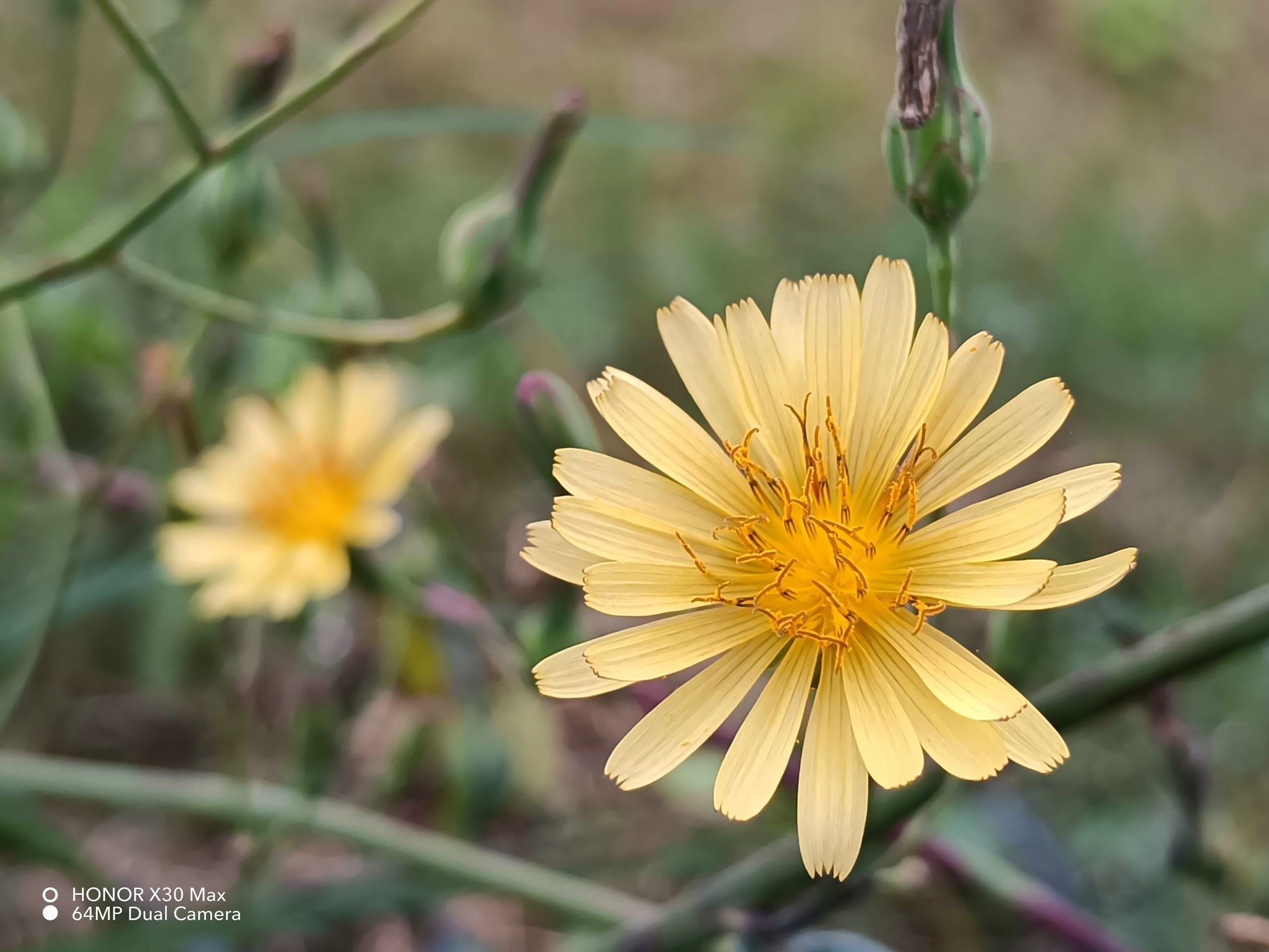 新款荣耀x30max7.09寸大屏,大手机屏幕7英寸荣耀x30max