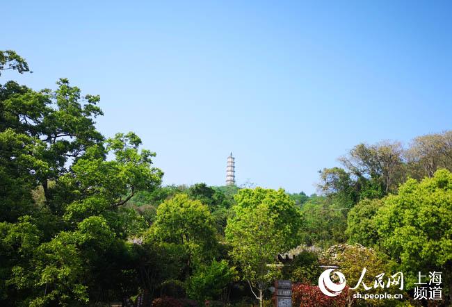 原来你是这样的英语,记忆里的巢湖