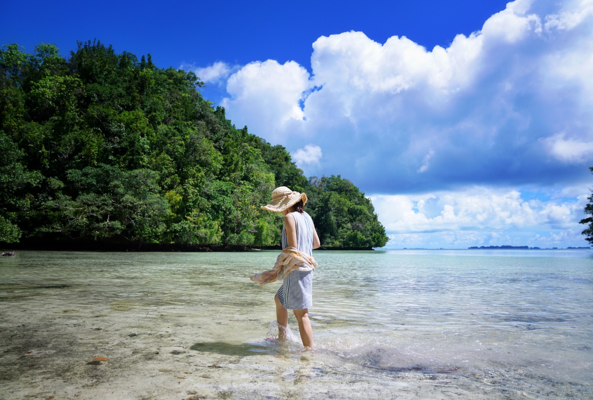 一定是特别的缘分——帕劳，再遇见「周若雪Patty」·上