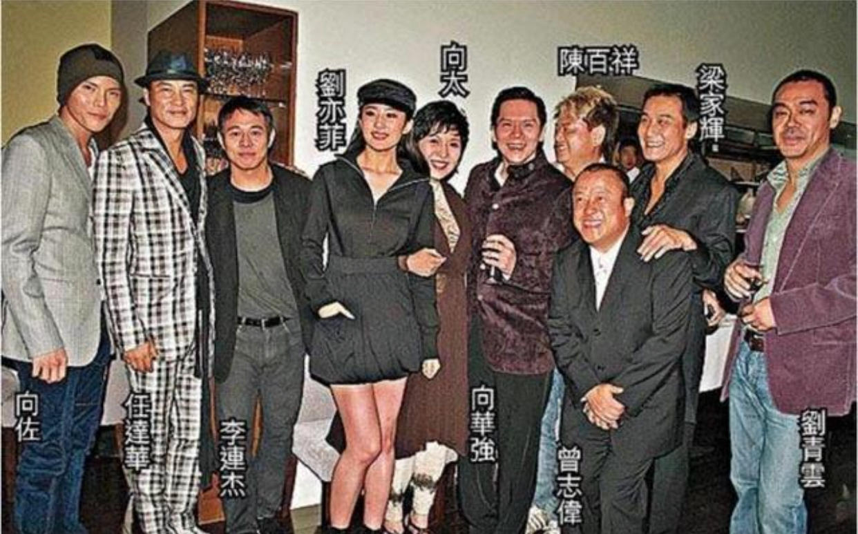 向华强有多少豪宅,任达华为什么不怕向华强