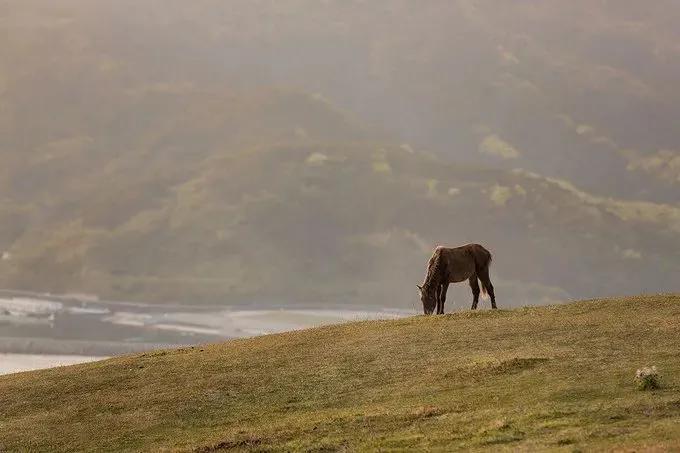 每周摄影作品全集,摄影作品展活动4k视频