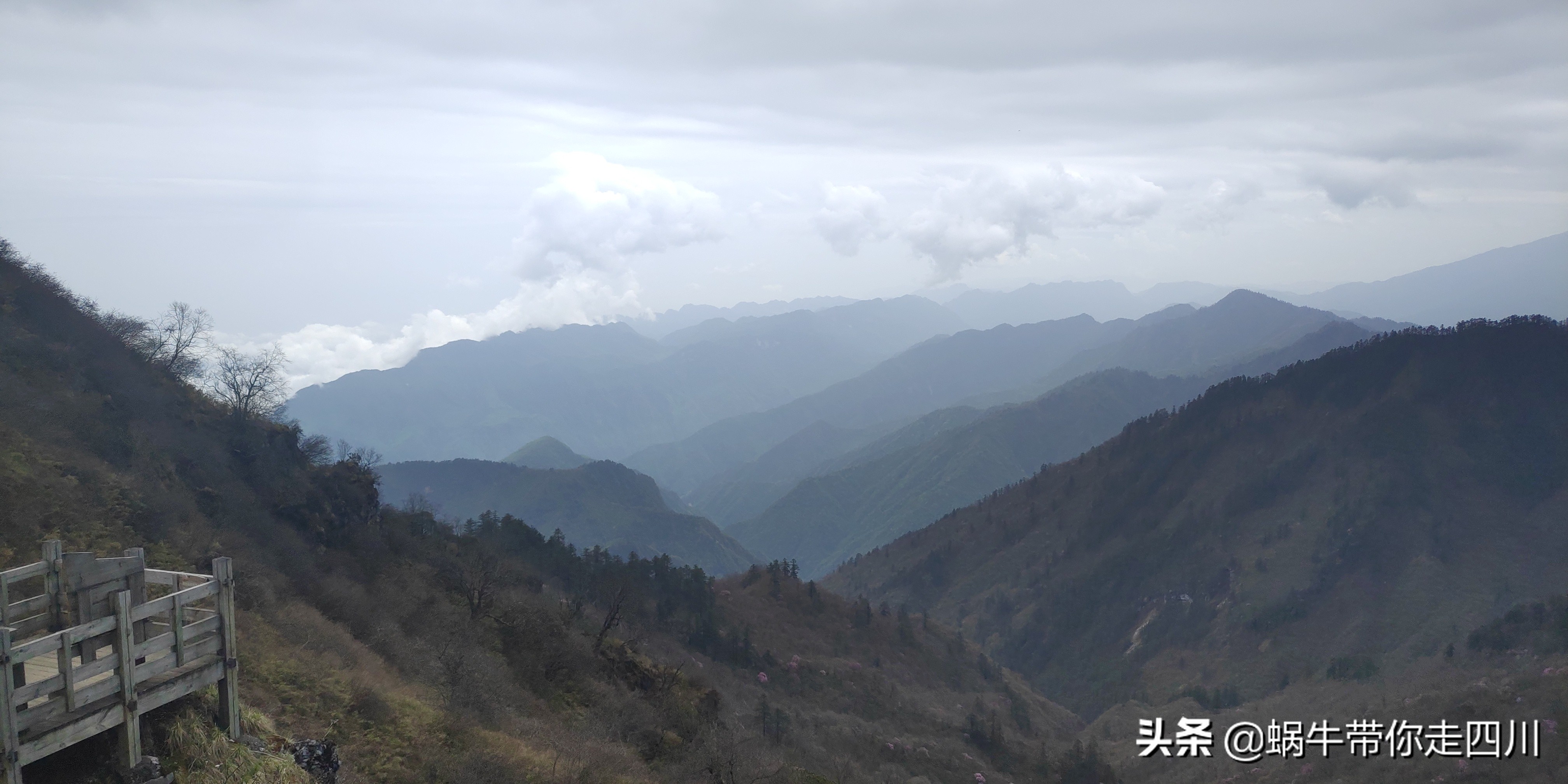 成都去西岭雪山两天一夜旅游团,成都出发雪山旅游