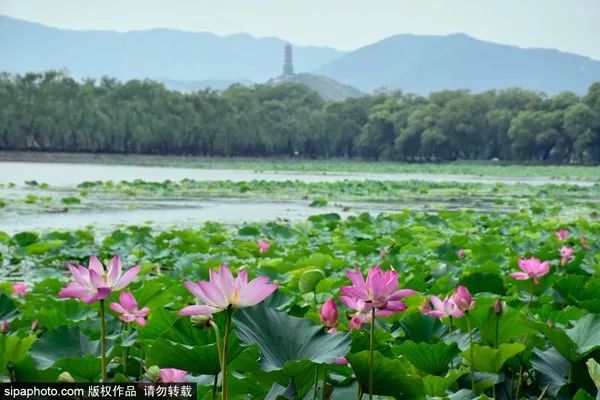 北京生活最不可少的一张卡开办！办理时间就一个月！,附上购买攻略和清单