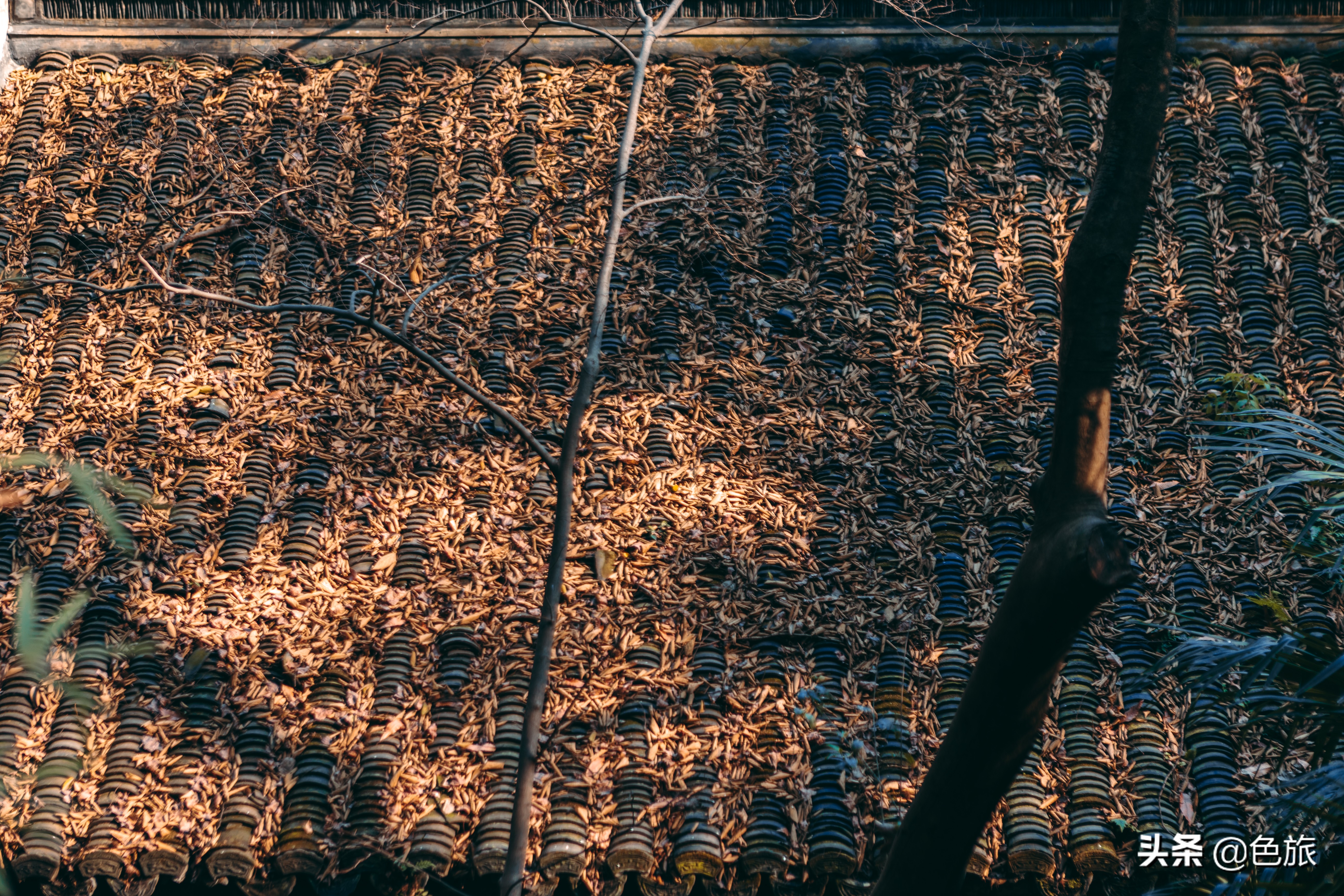 逆水寒游历虎跑梦泉怎么出葫芦,杭州游玩虎跑泉