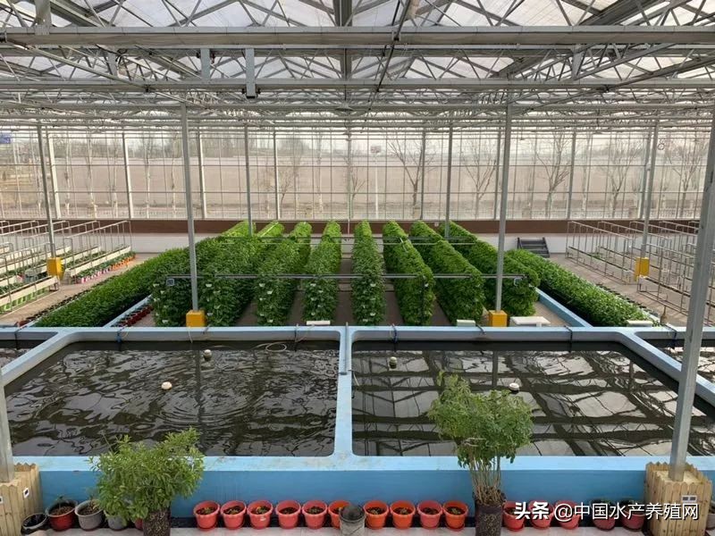 节水节电绿色低碳,节水节电低碳减排