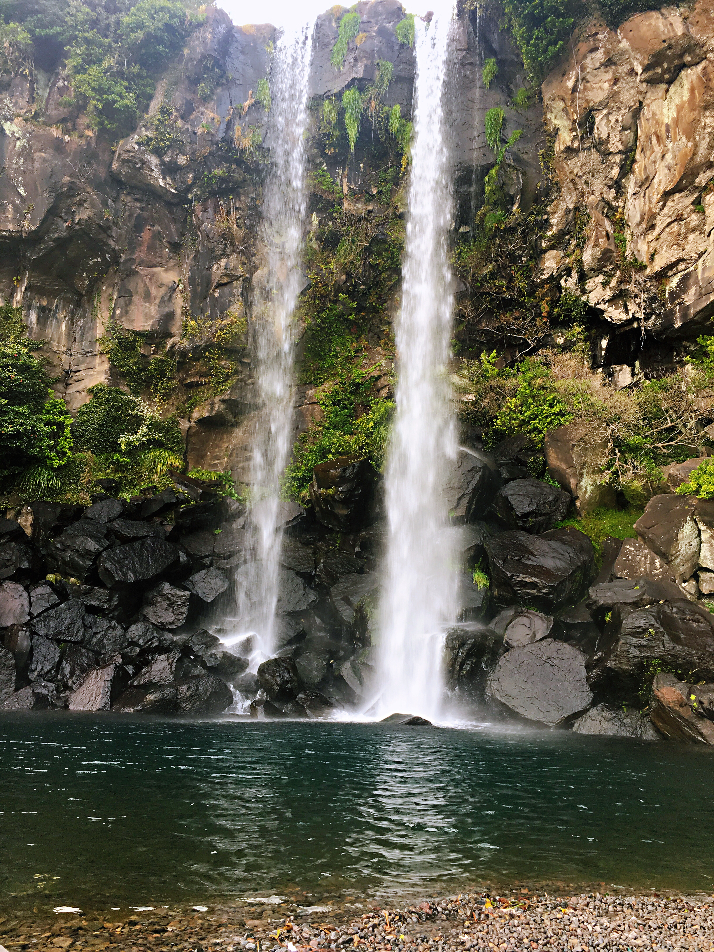 出国游玩新手小白,出国去韩国济州岛打工