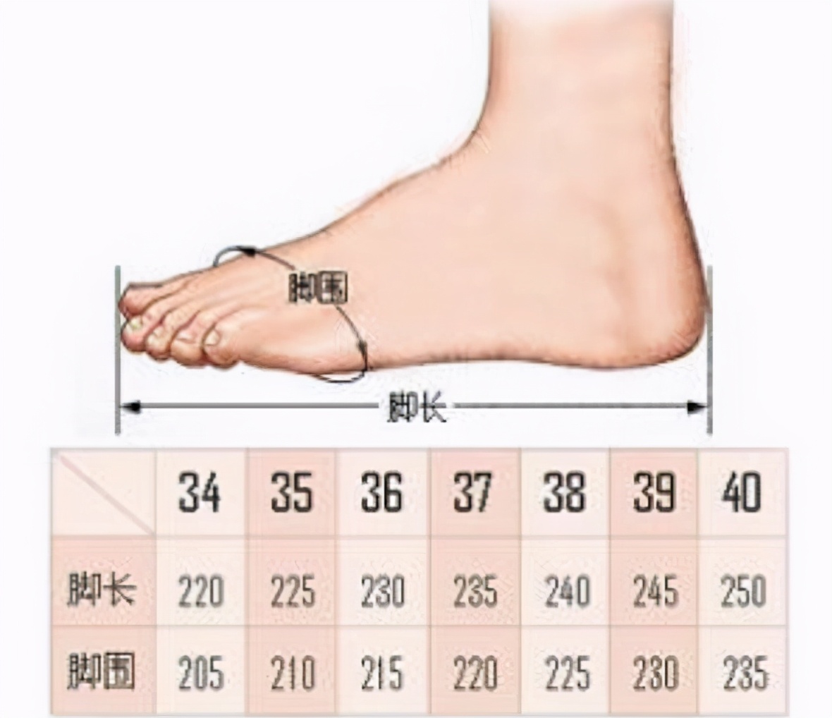 关羽汉朝一尺是多少厘米,关羽身长九尺到底有多高