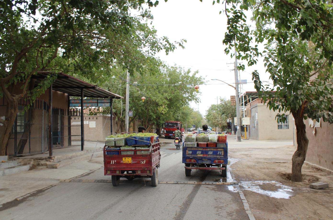 *疆新**旅行：鄯善-从柳中城到鲁克沁，从汉城墙遗迹中窥探历史一隅