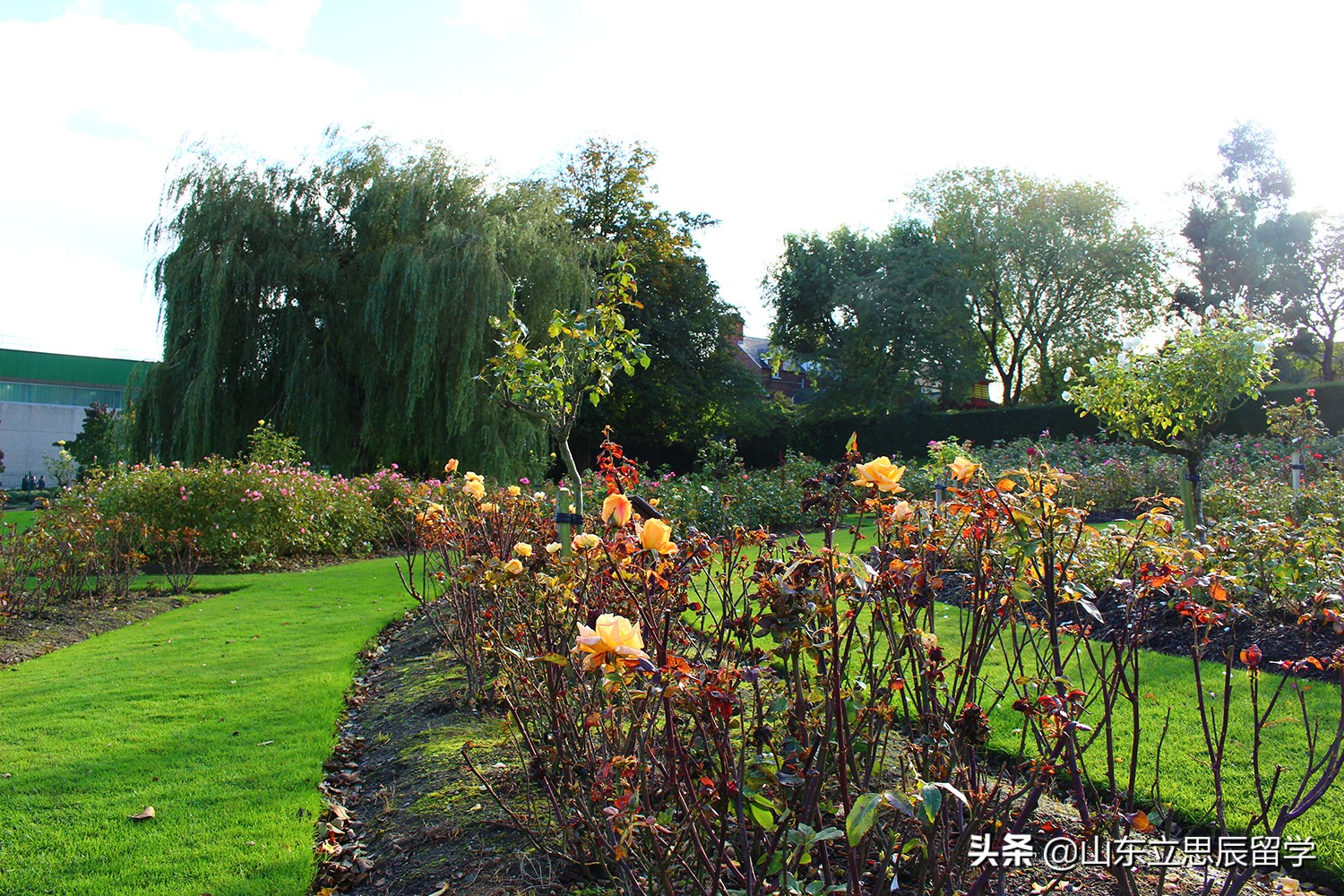 英国东伦敦大学qs排名,东伦敦大学