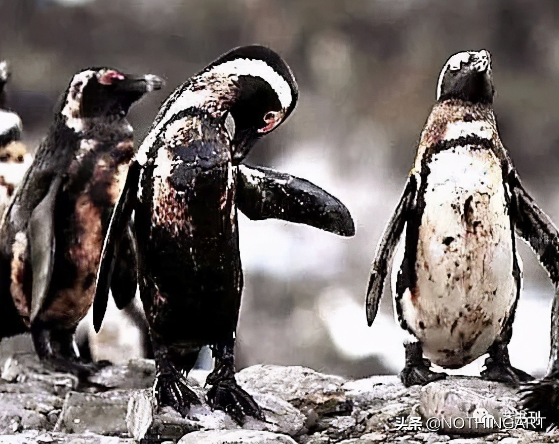 给明星做造型的“垃圾”行为艺术家?雷人背后的那一份深刻……